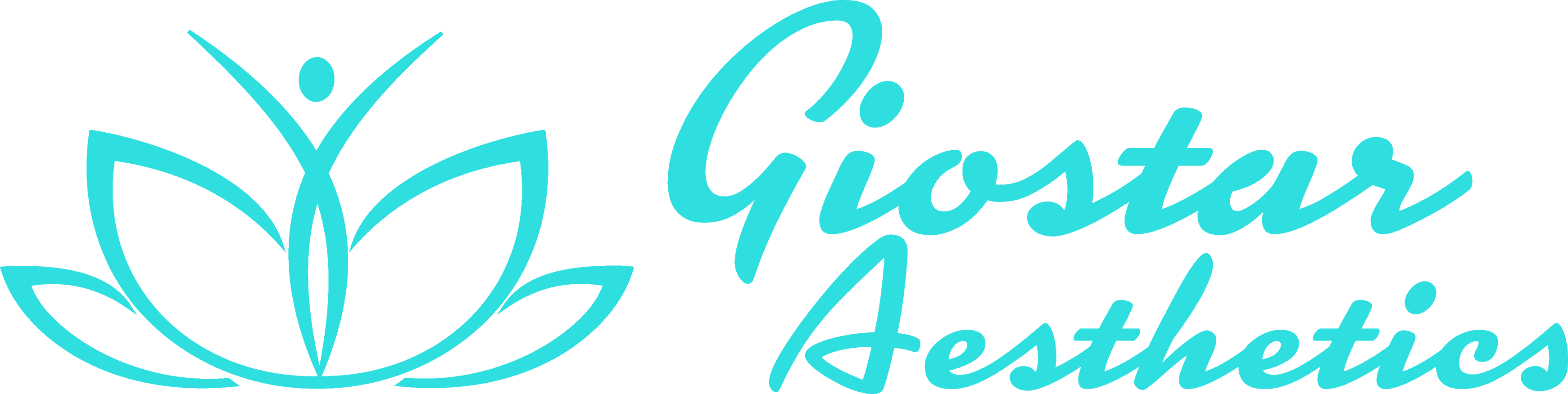 Giostar Logo